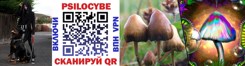 Псилоцибиновые грибы мицелий  Купить где  Опочка 
